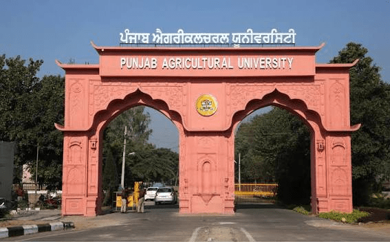 Punjab Agricultural University