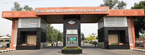 Chaudhary Charan Singh Haryana Agricultural University