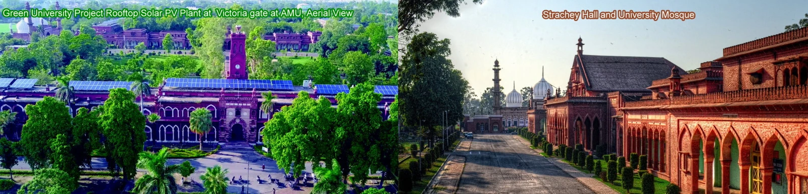 Aligarh Muslim University