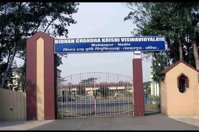 Bidhan Chandra Krishi Viswavidyalaya
