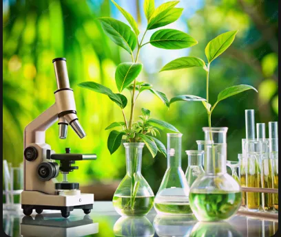 Ph.D - Biotechnology